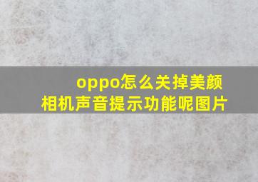 oppo怎么关掉美颜相机声音提示功能呢图片