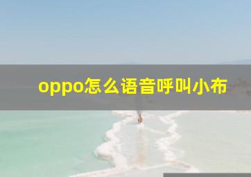 oppo怎么语音呼叫小布