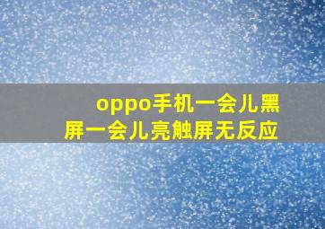 oppo手机一会儿黑屏一会儿亮触屏无反应