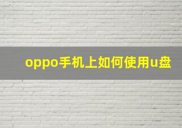 oppo手机上如何使用u盘