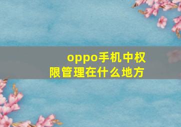 oppo手机中权限管理在什么地方