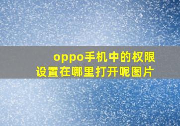 oppo手机中的权限设置在哪里打开呢图片