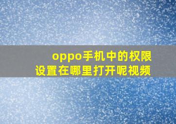 oppo手机中的权限设置在哪里打开呢视频