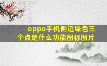 oppo手机侧边绿色三个点是什么功能图标图片