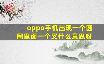 oppo手机出现一个圆圈里面一个叉什么意思呀