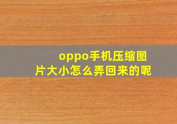 oppo手机压缩图片大小怎么弄回来的呢