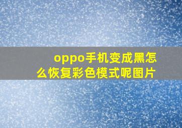 oppo手机变成黑怎么恢复彩色模式呢图片