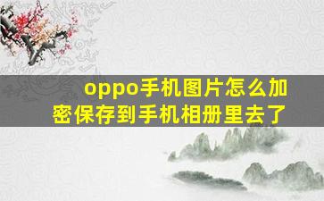 oppo手机图片怎么加密保存到手机相册里去了