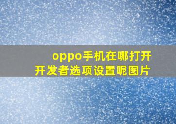 oppo手机在哪打开开发者选项设置呢图片