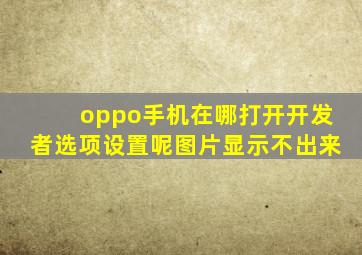 oppo手机在哪打开开发者选项设置呢图片显示不出来