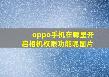 oppo手机在哪里开启相机权限功能呢图片