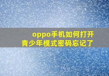 oppo手机如何打开青少年模式密码忘记了