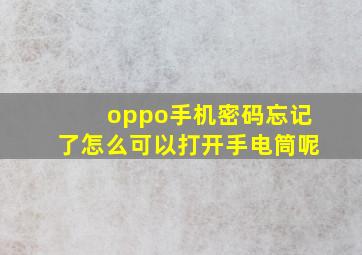 oppo手机密码忘记了怎么可以打开手电筒呢