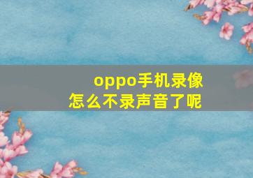 oppo手机录像怎么不录声音了呢