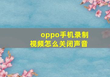 oppo手机录制视频怎么关闭声音