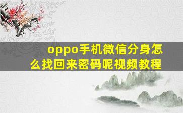 oppo手机微信分身怎么找回来密码呢视频教程