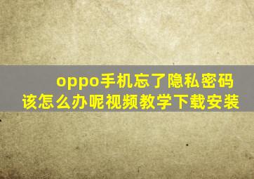 oppo手机忘了隐私密码该怎么办呢视频教学下载安装