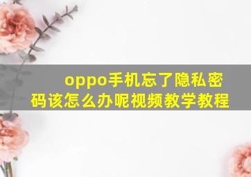 oppo手机忘了隐私密码该怎么办呢视频教学教程