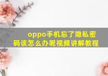 oppo手机忘了隐私密码该怎么办呢视频讲解教程