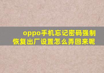 oppo手机忘记密码强制恢复出厂设置怎么弄回来呢