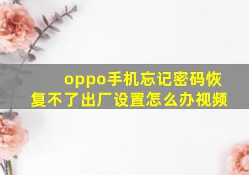 oppo手机忘记密码恢复不了出厂设置怎么办视频