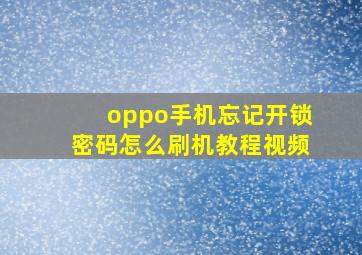 oppo手机忘记开锁密码怎么刷机教程视频