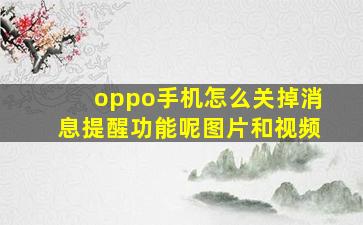 oppo手机怎么关掉消息提醒功能呢图片和视频