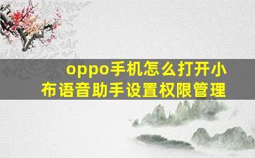 oppo手机怎么打开小布语音助手设置权限管理