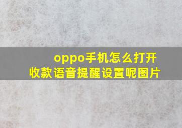 oppo手机怎么打开收款语音提醒设置呢图片