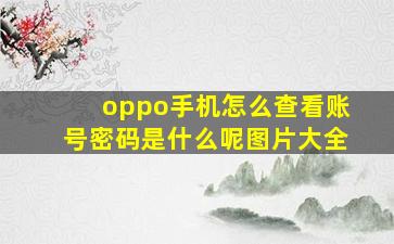 oppo手机怎么查看账号密码是什么呢图片大全