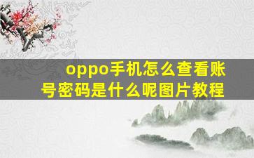 oppo手机怎么查看账号密码是什么呢图片教程