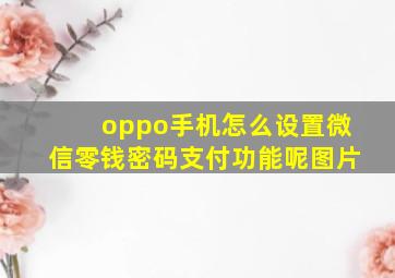 oppo手机怎么设置微信零钱密码支付功能呢图片