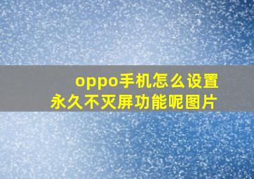 oppo手机怎么设置永久不灭屏功能呢图片