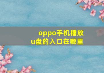 oppo手机播放u盘的入口在哪里