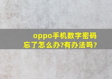 oppo手机数字密码忘了怎么办?有办法吗?