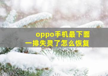 oppo手机最下面一排失灵了怎么恢复