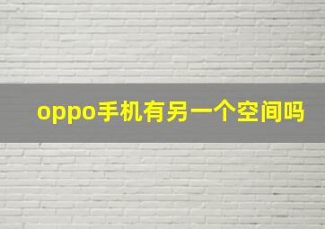 oppo手机有另一个空间吗