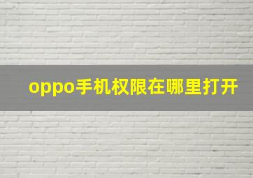 oppo手机权限在哪里打开