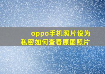 oppo手机照片设为私密如何查看原图照片