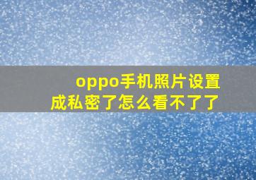 oppo手机照片设置成私密了怎么看不了了