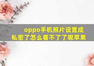 oppo手机照片设置成私密了怎么看不了了呢苹果