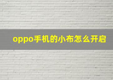 oppo手机的小布怎么开启