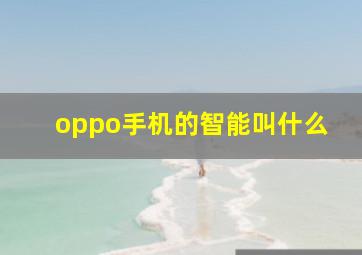 oppo手机的智能叫什么