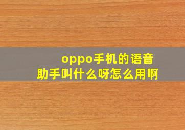 oppo手机的语音助手叫什么呀怎么用啊