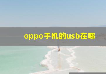 oppo手机的usb在哪