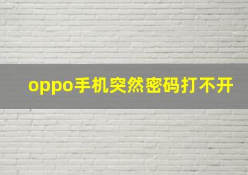 oppo手机突然密码打不开