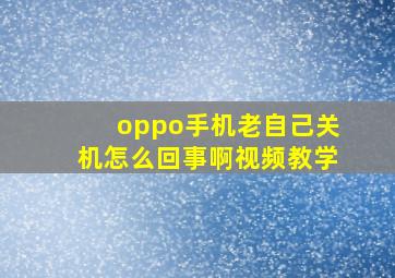 oppo手机老自己关机怎么回事啊视频教学