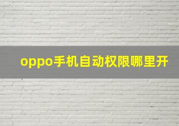 oppo手机自动权限哪里开