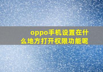 oppo手机设置在什么地方打开权限功能呢