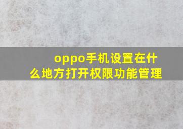 oppo手机设置在什么地方打开权限功能管理